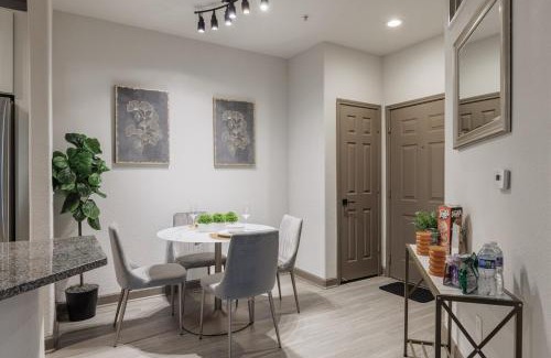 South Main Apartment | Beautiful 2 BR 2 BA, NRG, Medical Center, Downtown, Free WiFi, Pool