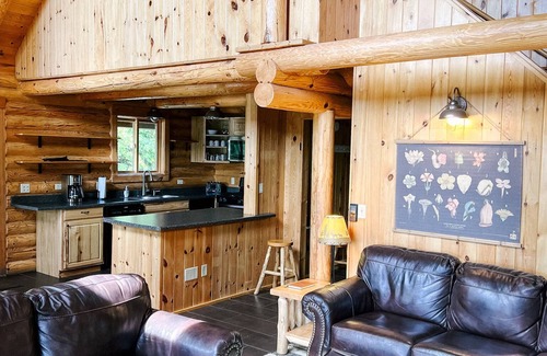 Cook Cabin | Beautiful 4 BR 4BA log home on Lake Vermilion, perfect for families. A/C + WiFi