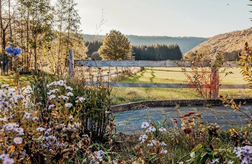 Gemund Apartment | Beautiful and modern vacation apartment in the middle of the Eifel National Park.