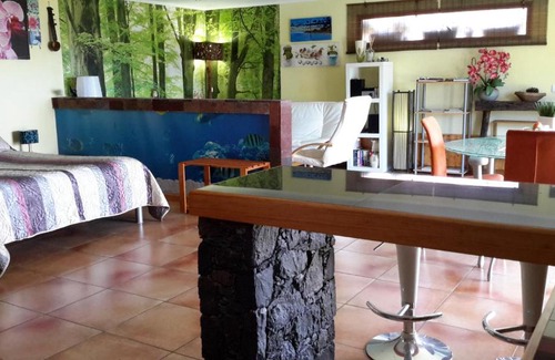 Calheta Apartment | Beautiful Apartment Fontes