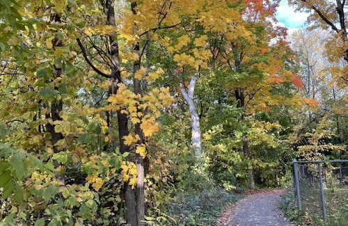 Laval Cottage | Beautiful cottage near river close to montreal