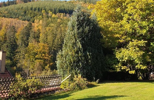 Natzwiller House | Beautiful Gîte in Vosgian Farm, Quality Services