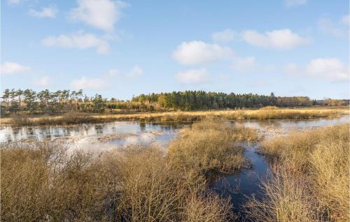 Farvang House | Beautiful Home In Fårvang With Sauna