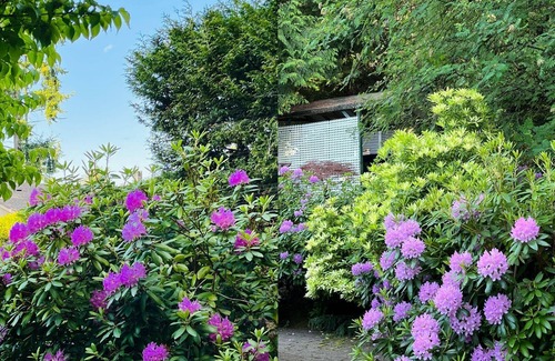 Regional District of Nanaimo House | Beautiful home with one acre land in Nanaimo