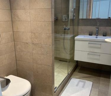 Geneva Old Town Apartment | Beautiful new studio, Geneva city centre