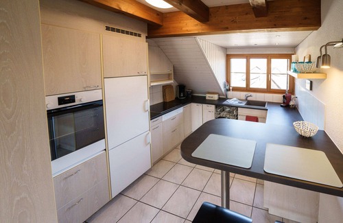 Siglistorf Apartment | Beautiful penthouse duplex apartment with balcony surrounded by greenery