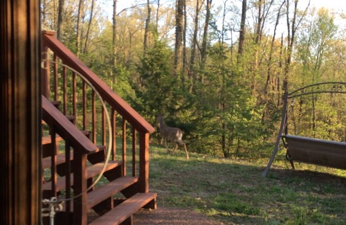 Franklin House | Beautiful private 2 bdrm apartment in a beautiful wooded setting