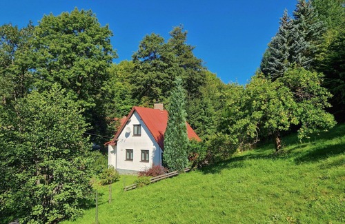 Zelezny Brod Villa | Beautiful private villa for 5 guests with TV, terrace and pets allowed