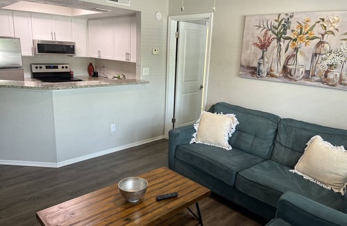 Tampa Apartment | Beautiful Tampa Oasis