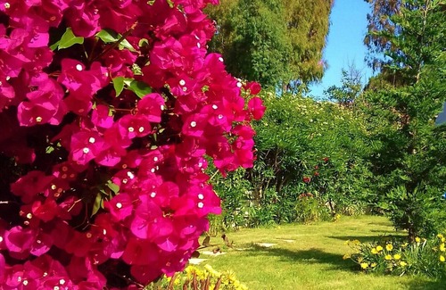 Capitana Villa | BEAUTIFUL VILLA - LARGE GARDEN-POOL-100m FROM THE SEA-VICINITY TO ALL BEACHES