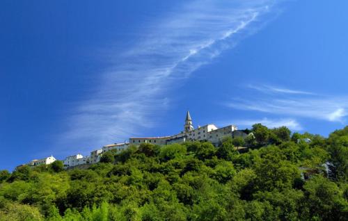 Sveti Martin Villa | Beautiful Villa Rhapsody with pool in Buzet