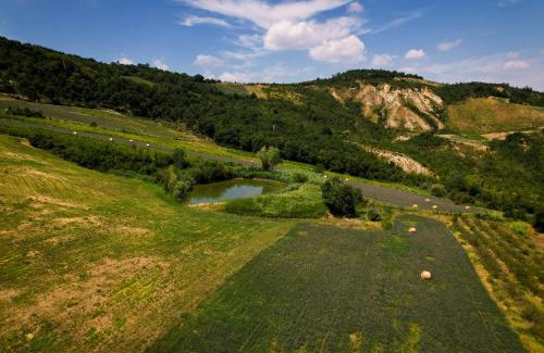 Casalfiumanese Bed & Breakfast | Bed and Breakfast Quercia di Croara