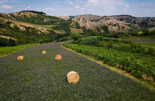 Casalfiumanese Bed & Breakfast | Bed and Breakfast Quercia di Croara