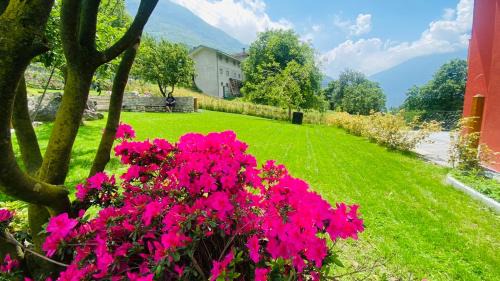 Perloz Bed & Breakfast | Bed and Breakfast Soffio di Vento