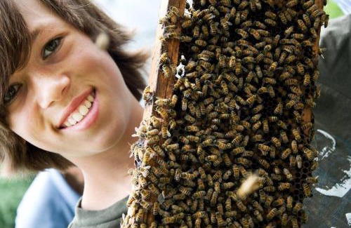 Navasota Other | BeeWeaver Luxury Glamping - In A Meading