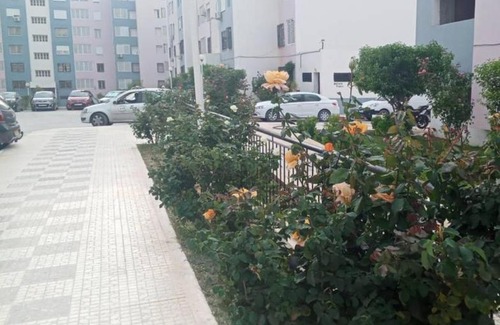 Constantine Apartment | Bel F3