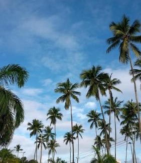 Madre de Deus House | Bela casa na praia Madre de Deus Bahia