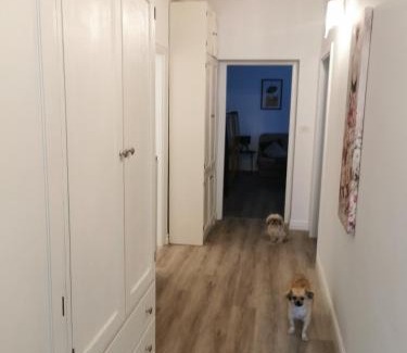 Bovec Apartment | Belavita