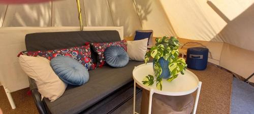 Cabeceiras de Basto Other | Bell-Tenten Quinta Pomar Do Pontido