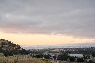 Paso Robles Hotel | Bellasera Hotel & Suites Paso Robles, Tapestry by Hilton