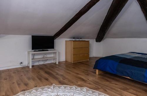 Cit Turin Apartment | Bellissima Mansarda a 200m da Porta Susa
