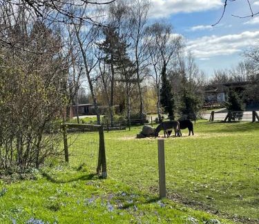 Fehmarn Apartment | Beltblick