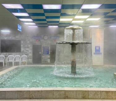 Cheongdo Hotel | Benikea Hotel Cheong Do Hot Spring