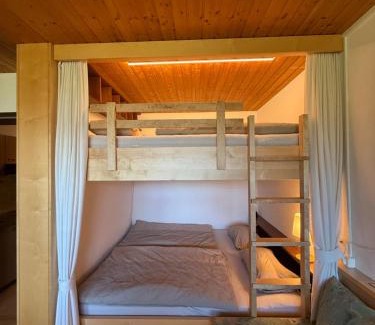 Buerserberg Apartment | BergNest Brandnertal