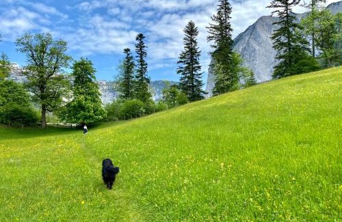 Obertressen Villa | Bergvilla Oberon - Your Austrian Home