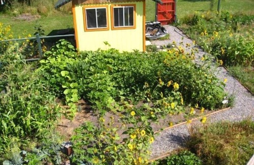 Mount Shasta Cottage | Best views of the mtn and a private creek! Farm fresh veggies and eggs too.