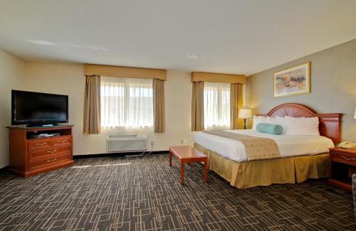 Quad Cities Hotel | Best Western Airport Inn