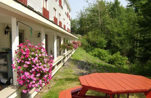 Freeport Hotel | Best Western - Freeport Inn