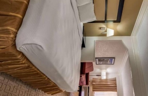 Macon Hotel | Best Western Inn & Suites of Macon