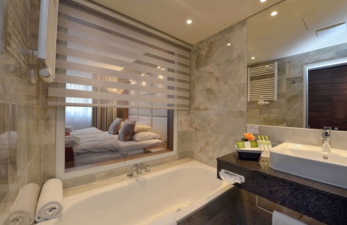 Mannheim Hotel | Best Western Plus Delta Park Hotel