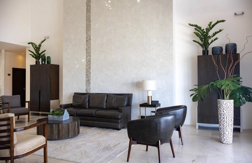 Chihuahua Hotel | Best Western Plus Sacramento