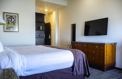 Chihuahua Hotel | Best Western Plus Sacramento