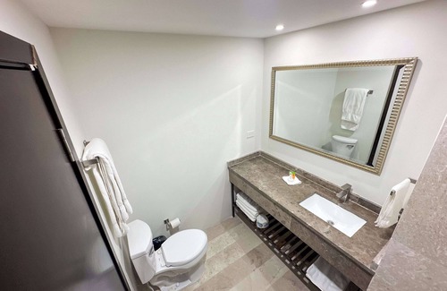 Chihuahua Hotel | Best Western Plus Sacramento