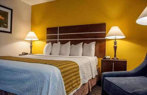 Raisin Hotel | Best Western Village Inn
