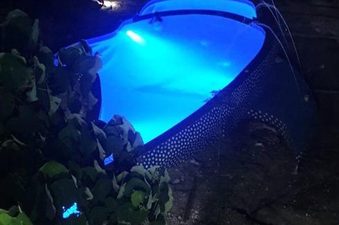 Oslob Resort | Bethany's Point
