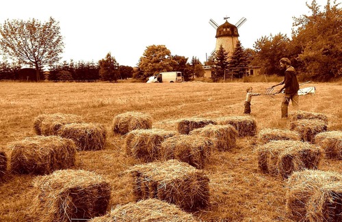 Heichelheim House | Bett am Kornfeld - Ferienhaus Mitten im Grünen Neben Pferdekoppel