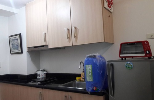 Plainview Condo | Beutiful 1 BR Condo Unit Connected to a Train Station with fast Internet