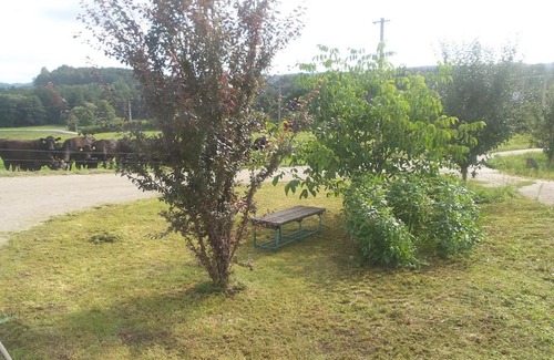 Kajov Apartment | Bezbariérové ubytování na statku