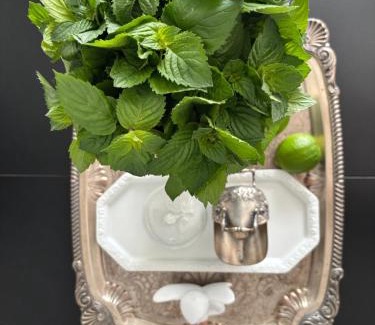 Siechnice Apartment | BG home