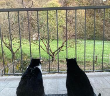 Val di Sur-San Michele Bed & Breakfast | BiancoGelso b&b Vegan