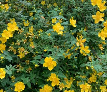 Val di Sur-San Michele Bed & Breakfast | BiancoGelso b&b Vegan