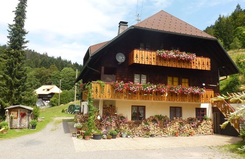 Todtmoos Apartment | Biehler house rental - Simple Apartment