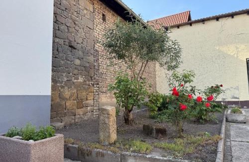 Neustadt-Geinsheim House | Big Apple House - 3 bedrooms with Promotion for longer stay