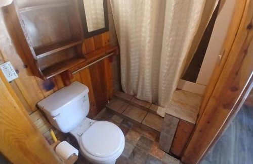 The Village House | Big Bear Lake - Tulip Lane Cabin #23 - Micro Cabin