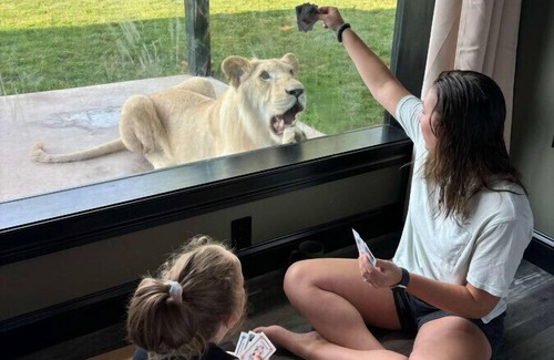 Town of Sullivan House | Big Cat Bungalows at The Haven - Lion 2