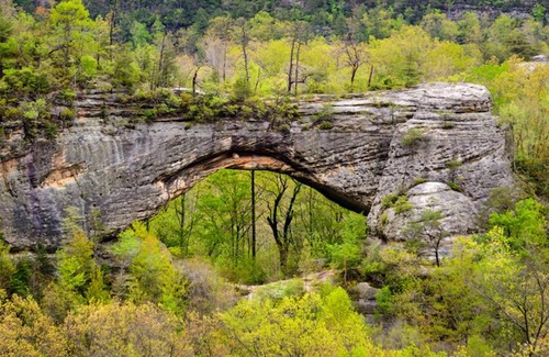 Revelo Hotel | Big South Fork Trail Lodge